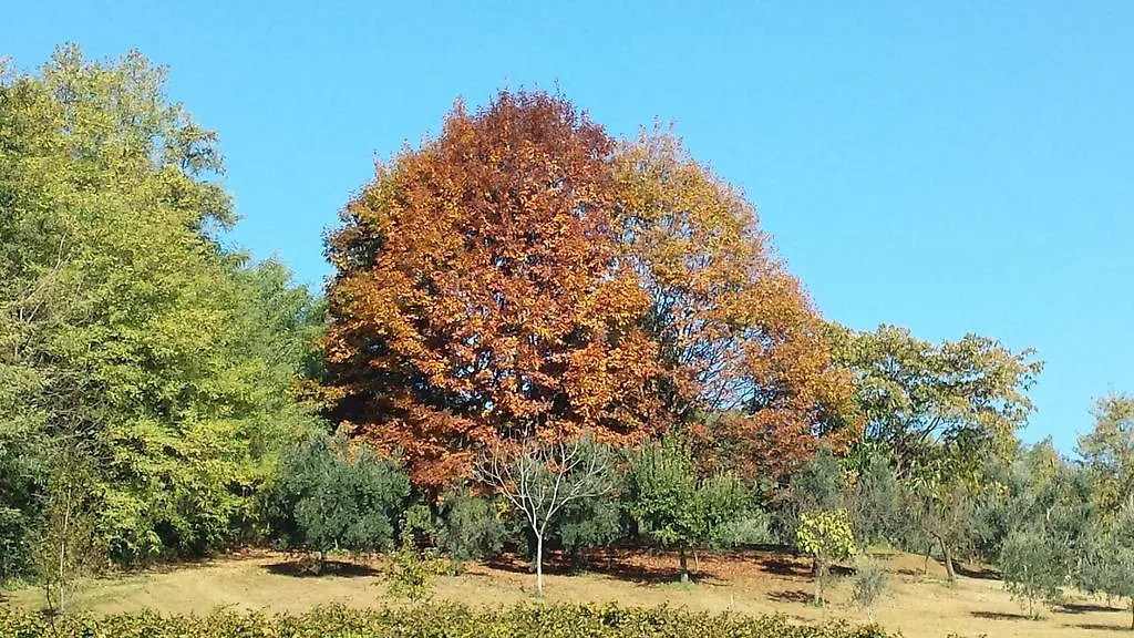La Valle Nervesa della Battaglia 0*,  Italia